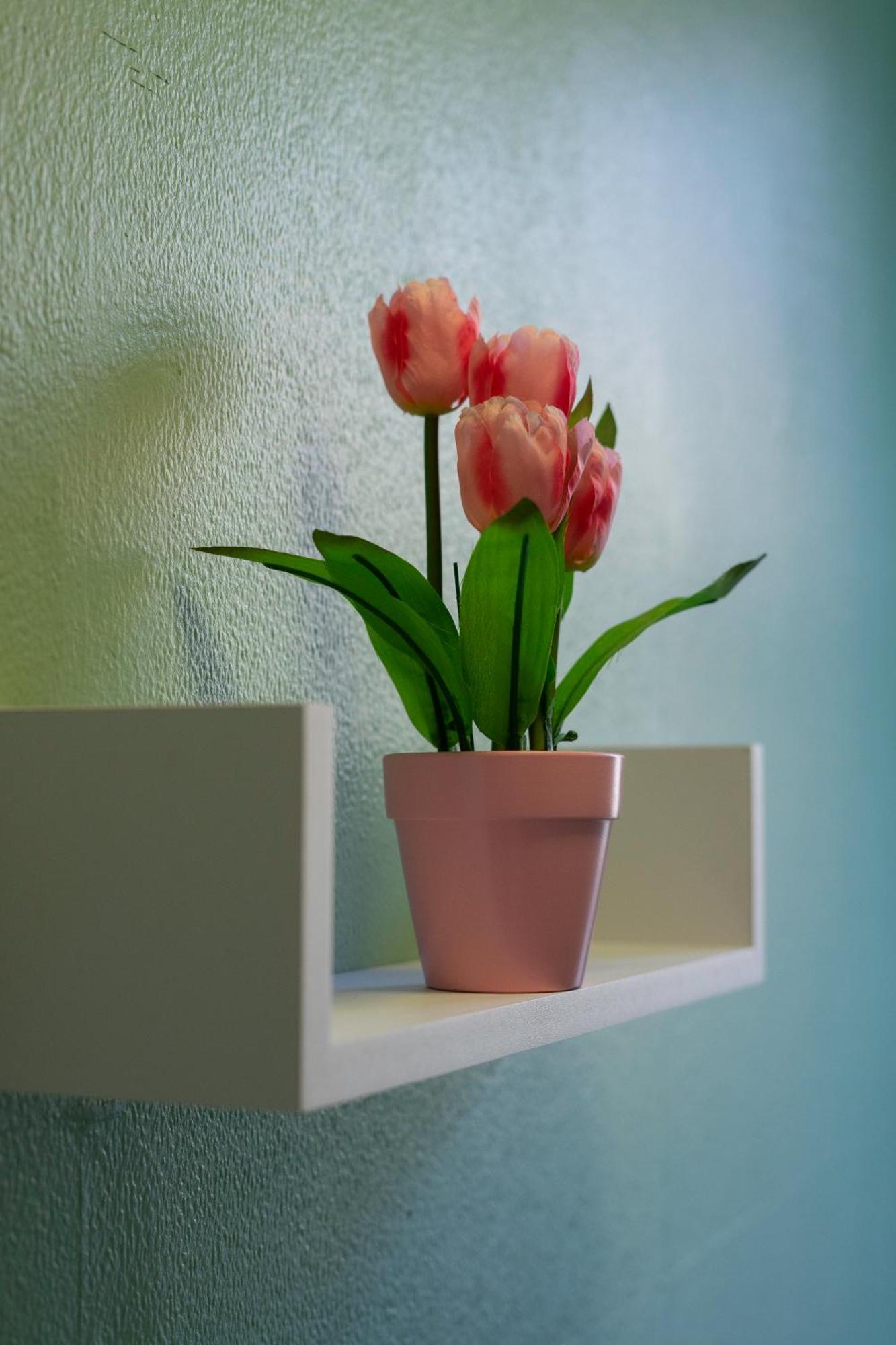 The Eden Apartment, Edinburgh City Center Екстериор снимка